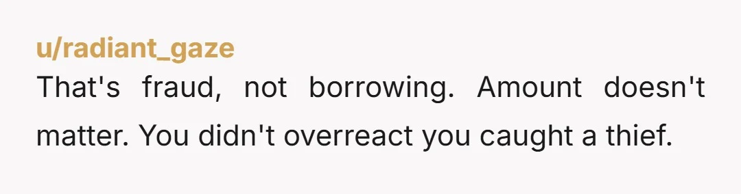 u/radiant_gaze
That's fraud, not borrowing. Amount doesn't matter. You didn't overreact you caught a thief.