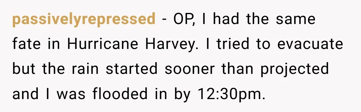 passivelyrepressed − OP, I had the same fate in Hurricane Harvey. I tried to evacuate but the rain started sooner than projected and I was flooded in by 12:30pm.