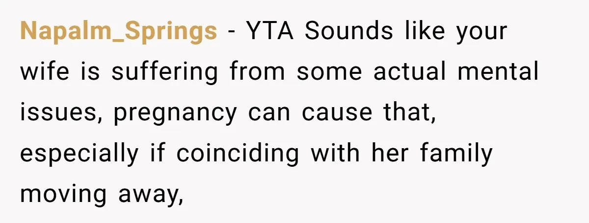 Napalm_Springs − YTA Sounds like your wife is suffering from some actual mental issues, pregnancy can cause that, especially if coinciding with her family moving away,