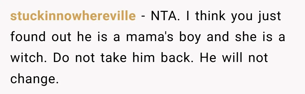 stuckinnowhereville − NTA. I think you just found out he is a mama's boy and she is a witch. Do not take him back. He will not change.