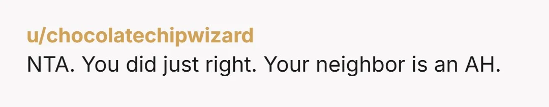 u/chocolatechipwizard
NTA. You did just right. Your neighbor is an AH.