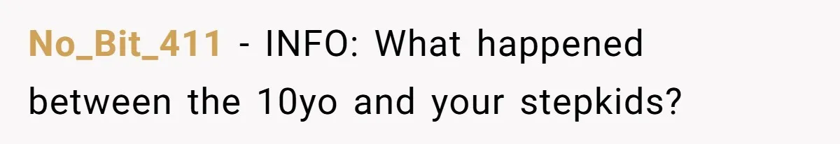 No_Bit_411 − INFO: What happened between the 10yo and your stepkids?