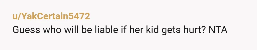 u/YakCertain5472 Guess who will be liable if her kid gets hurt? NTA