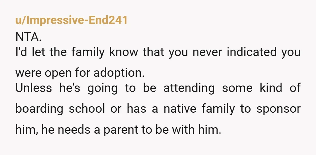 u/Impressive-End241 NTA. I'd let the family know that you never indicated you were open for adoption. Unless he's going to be attending some kind of boarding school or has a...