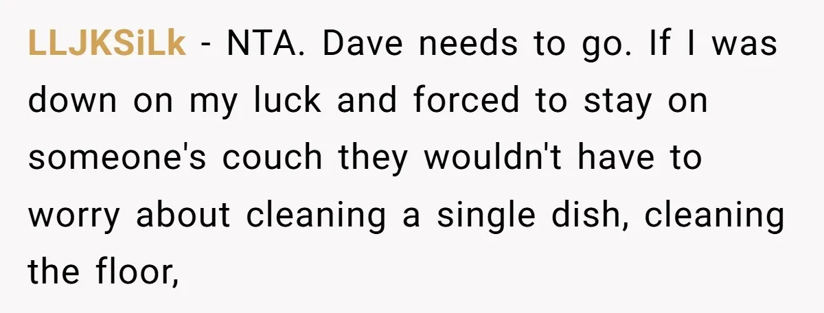 LLJKSiLk − NTA. Dave needs to go. If I was down on my luck and forced to stay on someone's couch they wouldn't have to worry about cleaning a single...