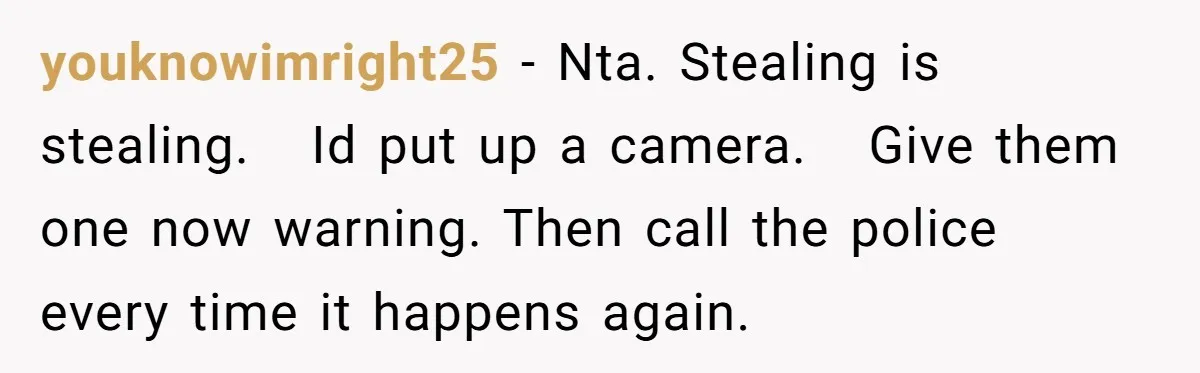 youknowimright25 − Nta. Stealing is stealing. Id put up a camera. Give them one now warning. Then call the police every time it happens again.