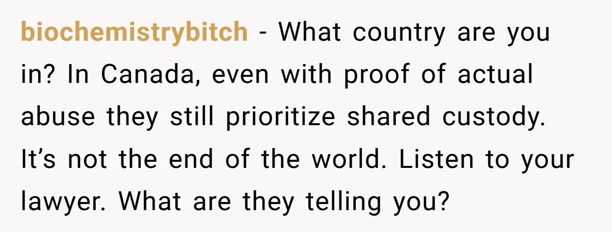 biochemistrybitch - What country are you in? In Canada, even with proof of actual abuse they still prioritize shared custody. It’s not the end of the world. Listen to your...
