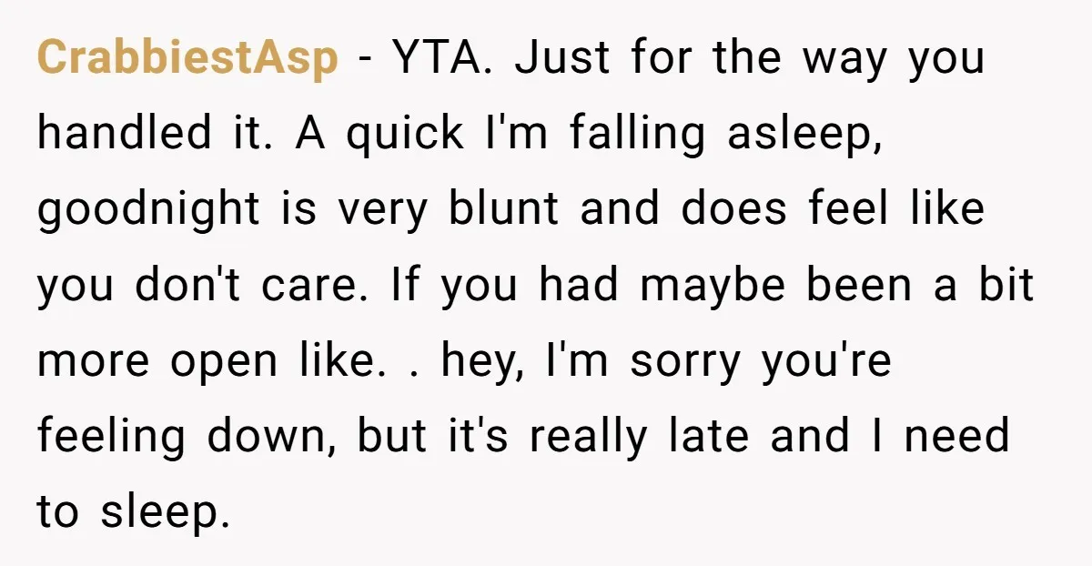 CrabbiestAsp − YTA. Just for the way you handled it. A quick I'm falling asleep, goodnight is very blunt and does feel like you don't care. If you had maybe...