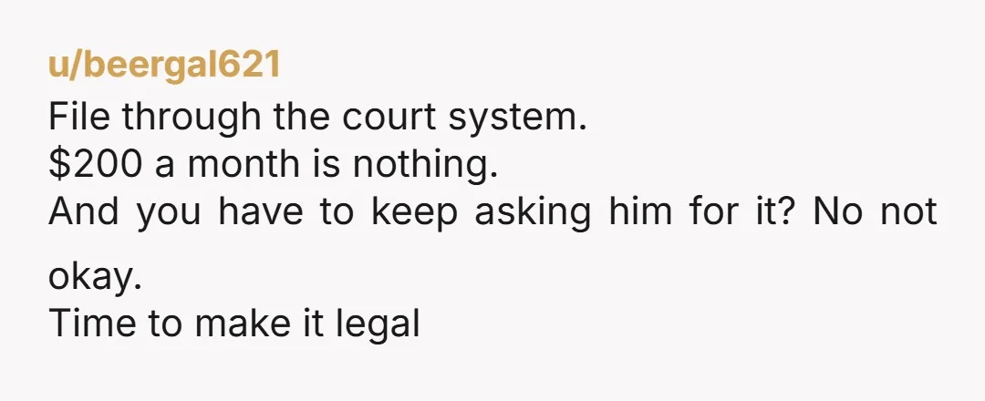 u/beergal621 File through the court system. $200 a month is nothing. And you have to keep asking him for it? No not okay. Time to make it legal