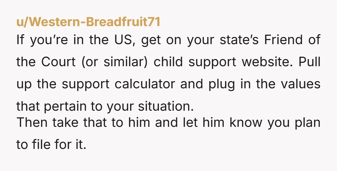 u/Western-Breadfruit71 If you’re in the US, get on your state’s Friend of the Court (or similar) child support website. Pull up the support calculator and plug in the values that...