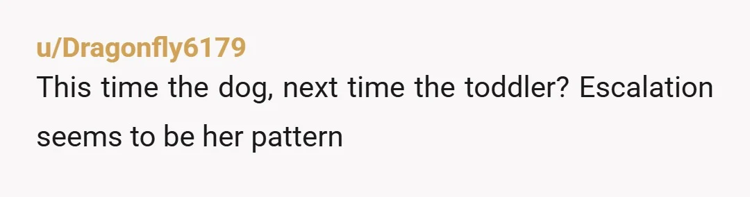 u/Dragonfly6179
This time the dog, next time the toddler? Escalation seems to be her pattern