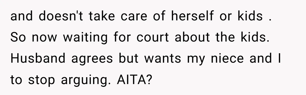 and doesn't take care of herself or kids . So now waiting for court about the kids. Husband agrees but wants my niece and I to stop arguing. AITA?