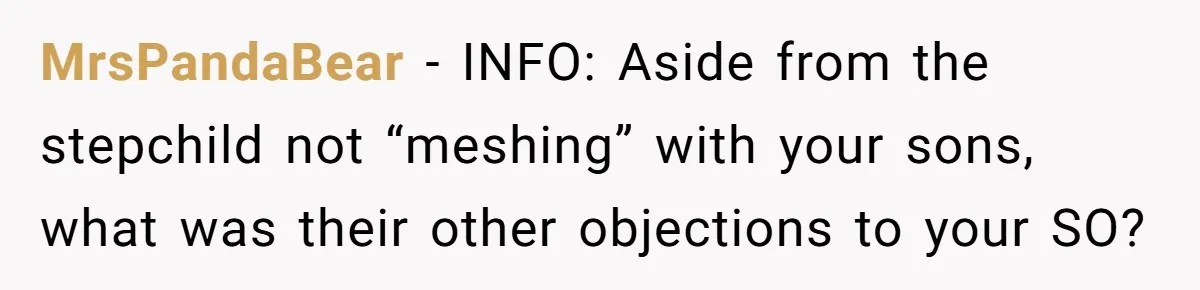 MrsPandaBear − INFO: Aside from the stepchild not “meshing” with your sons, what was their other objections to your SO?