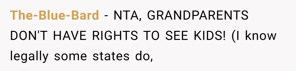 The-Blue-Bard − NTA, GRANDPARENTS DON'T HAVE RIGHTS TO SEE KIDS! (I know legally some states do,