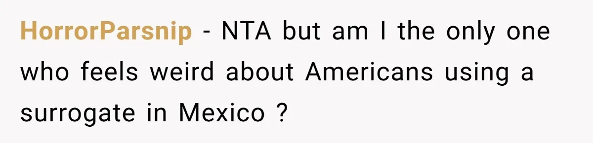 HorrorParsnip − NTA but am I the only one who feels weird about Americans using a surrogate in Mexico ?