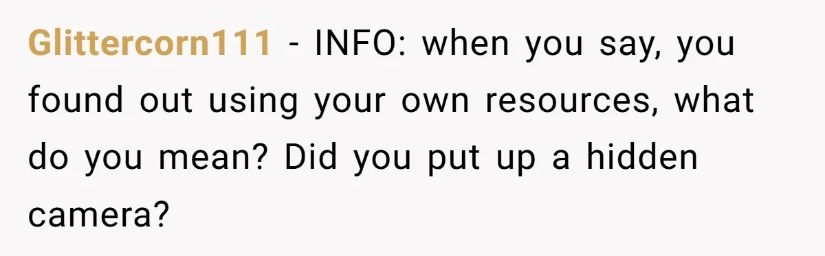 Glittercorn111 − INFO: when you say, you found out using your own resources, what do you mean? Did you put up a hidden camera?