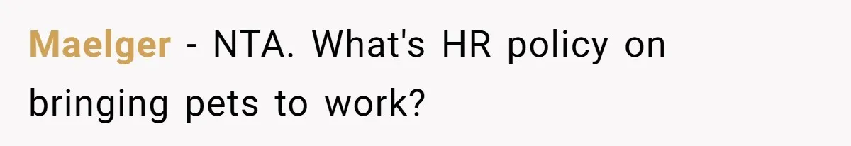 Maelger − NTA. What's HR policy on bringing pets to work?