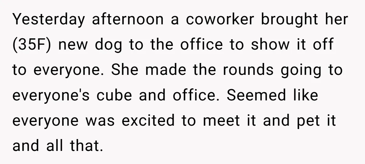 Yesterday afternoon a coworker brought her (35F) new dog to the office to show it off to everyone. She made the rounds going to everyone's cube and office. Seemed like...