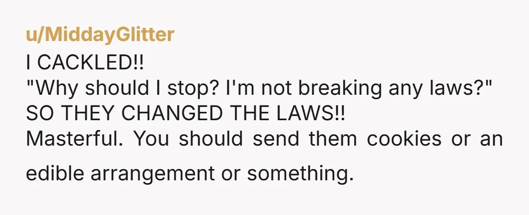 u/MiddayGlitter
I CACKLED!!
"Why should I stop? I'm not breaking any laws?"
SO THEY CHANGED THE LAWS!!
Masterful. You should send them cookies or an edible arrangement or something.