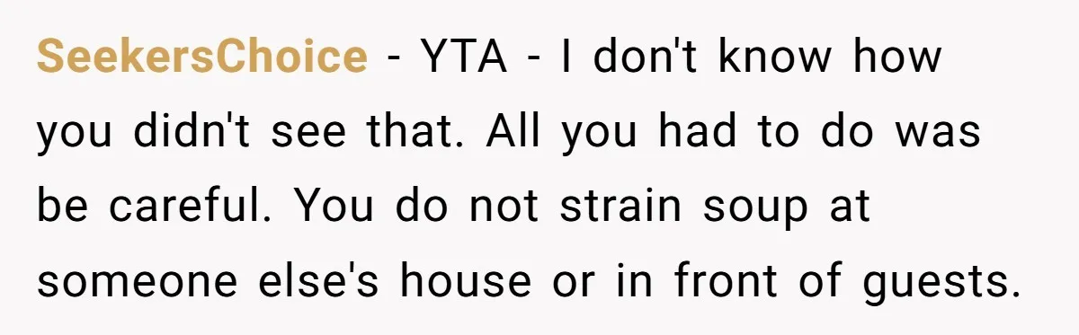 SeekersChoice − YTA - I don't know how you didn't see that. All you had to do was be careful. You do not strain soup at someone else's house or...