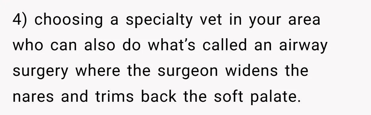 4) choosing a specialty vet in your area who can also do what’s called an airway surgery where the surgeon widens the nares and trims back the soft palate.