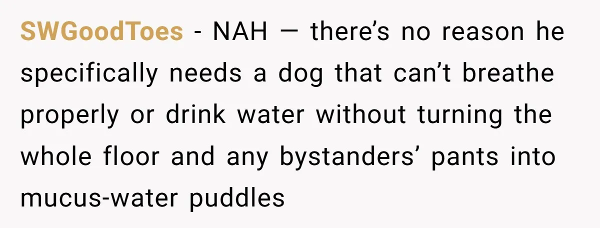 SWGoodToes − NAH — there’s no reason he specifically needs a dog that can’t breathe properly or drink water without turning the whole floor and any bystanders’ pants into mucus-water...