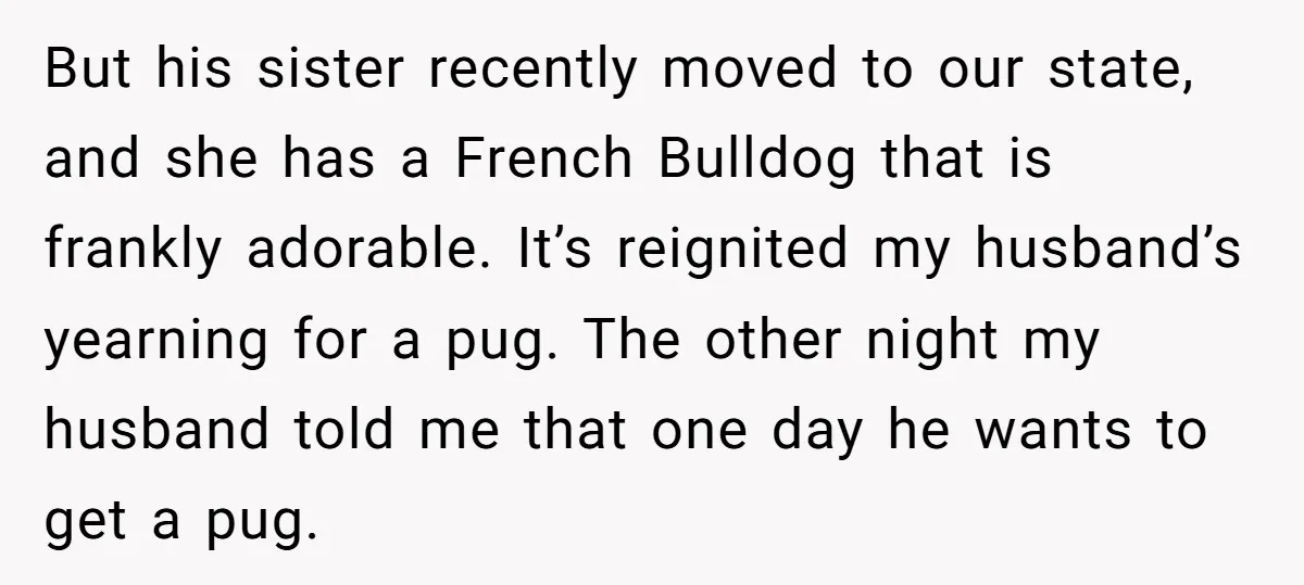 But his sister recently moved to our state, and she has a French Bulldog that is frankly adorable. It’s reignited my husband’s yearning for a pug. The other night my...