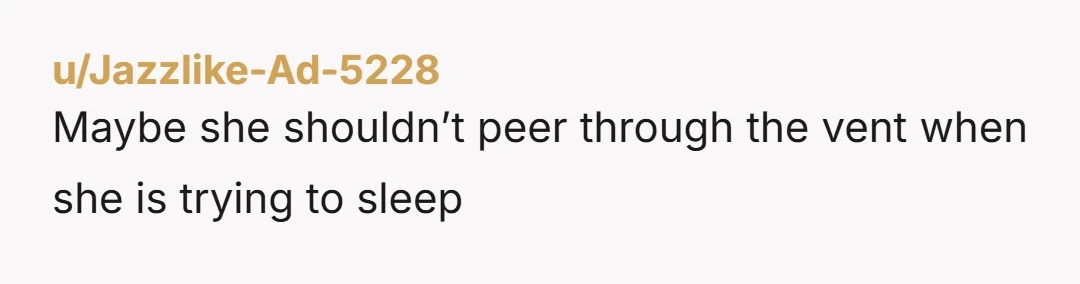 u/Jazzlike-Ad-5228
Maybe she shouldn’t peer through the vent when she is trying to sleep