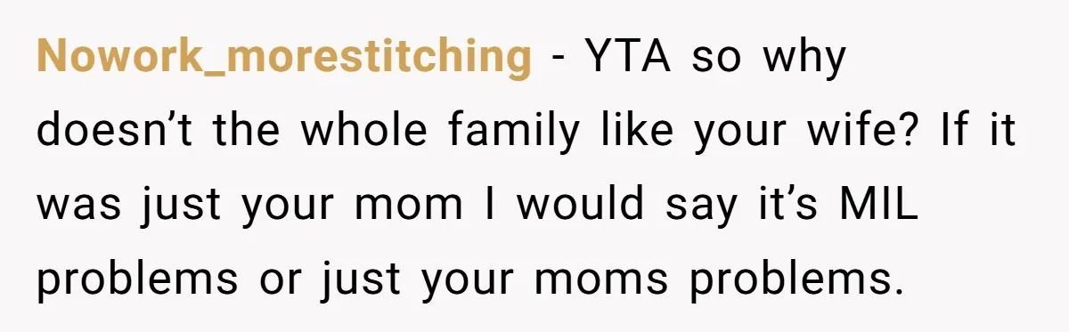 Nowork_morestitching − YTA so why doesn’t the whole family like your wife? If it was just your mom I would say it’s MIL problems or just your moms problems.