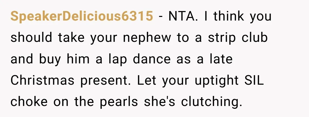 SpeakerDelicious6315 − NTA. I think you should take your nephew to a strip club and buy him a lap dance as a late Christmas present. Let your uptight SIL choke...