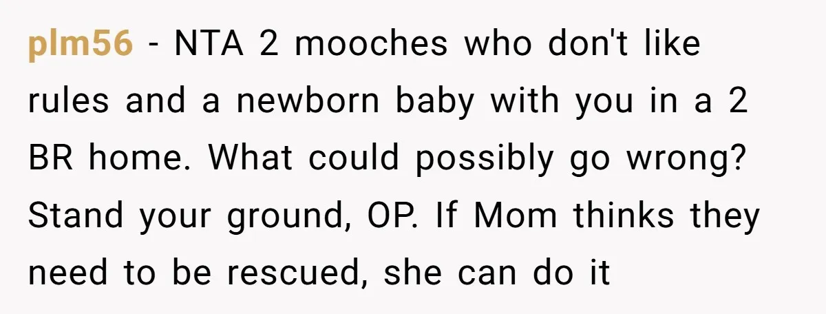 plm56 − NTA 2 mooches who don't like rules and a newborn baby with you in a 2 BR home. What could possibly go wrong? Stand your ground, OP. If...