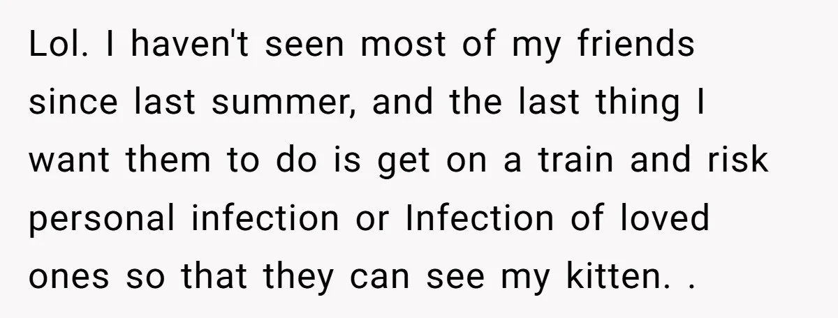 Lol. I haven't seen most of my friends since last summer, and the last thing I want them to do is get on a train and risk personal infection or...