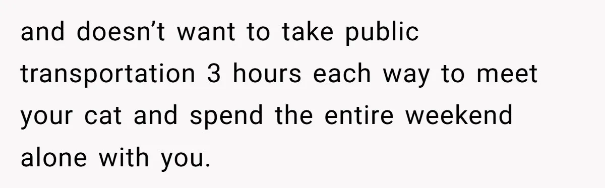 and doesn’t want to take public transportation 3 hours each way to meet your cat and spend the entire weekend alone with you.