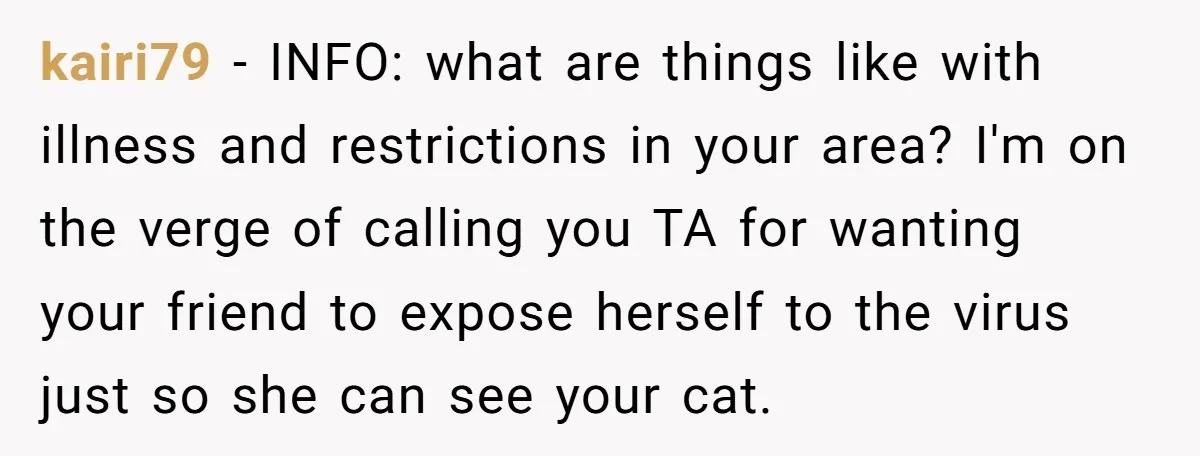 kairi79 − INFO: what are things like with illness and restrictions in your area? I'm on the verge of calling you TA for wanting your friend to expose herself to...
