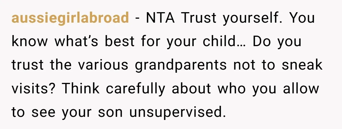 aussiegirlabroad − NTA Trust yourself. You know what’s best for your child… Do you trust the various grandparents not to sneak visits? Think carefully about who you allow to see...