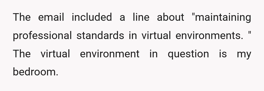 The email included a line about "maintaining professional standards in virtual environments. " The virtual environment in question is my bedroom.