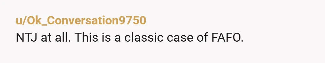 u/Ok_Conversation9750 NTJ at all. This is a classic case of FAFO.