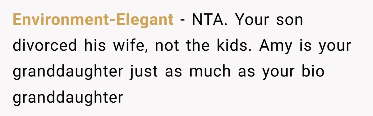 Environment-Elegant − NTA. Your son divorced his wife, not the kids. Amy is your granddaughter just as much as your bio granddaughter