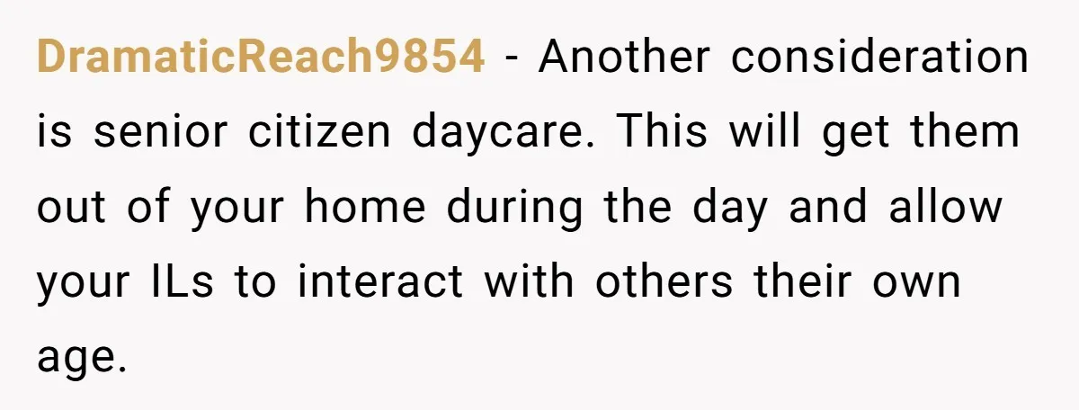 DramaticReach9854 − Another consideration is senior citizen daycare. This will get them out of your home during the day and allow your ILs to interact with others their own age.