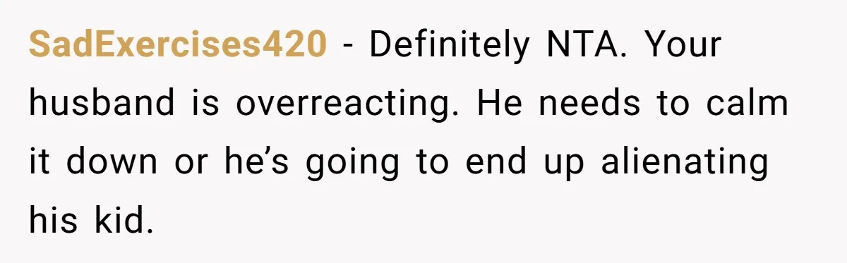 SadExercises420 − Definitely NTA. Your husband is overreacting. He needs to calm it down or he’s going to end up alienating his kid.