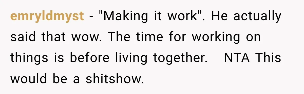 emryldmyst − "Making it work". He actually said that wow. The time for working on things is before living together.   NTA This would be a shitshow.