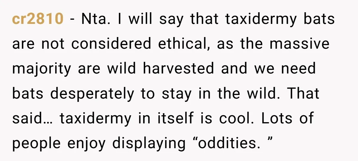 cr2810 − Nta. I will say that taxidermy bats are not considered ethical, as the massive majority are wild harvested and we need bats desperately to stay in the wild....