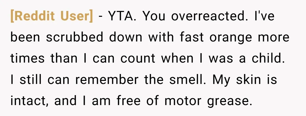 [Reddit User] − YTA. You overreacted. I've been scrubbed down with fast orange more times than I can count when I was a child. I still can remember the smell....
