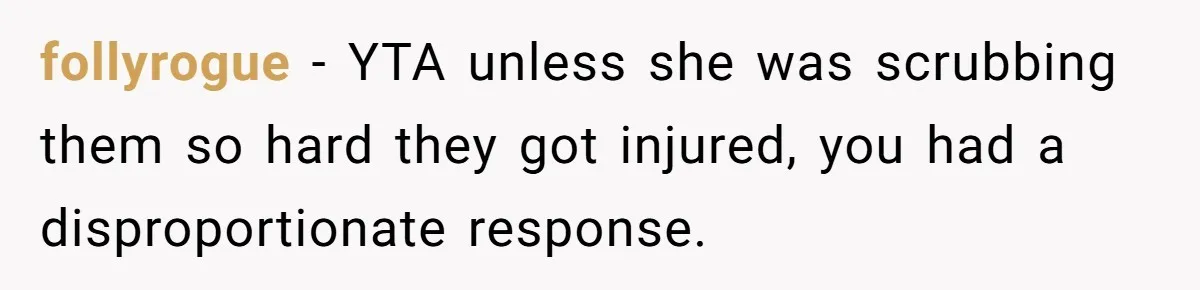 follyrogue − YTA unless she was scrubbing them so hard they got injured, you had a disproportionate response.