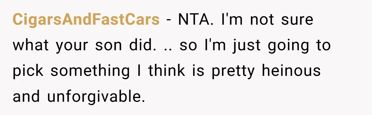 CigarsAndFastCars − NTA. I'm not sure what your son did. .. so I'm just going to pick something I think is pretty heinous and unforgivable.