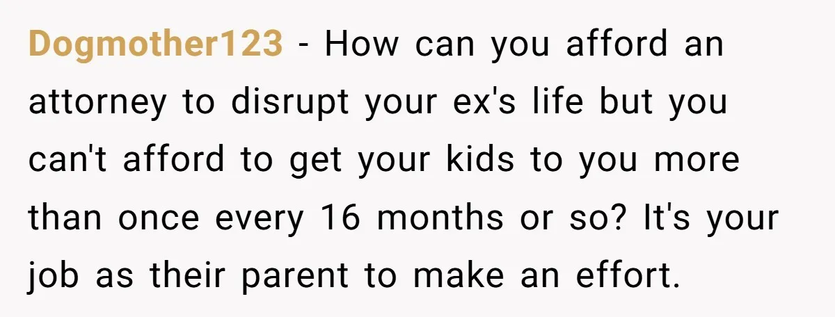 Dogmother123 − How can you afford an attorney to disrupt your ex's life but you can't afford to get your kids to you more than once every 16 months or...