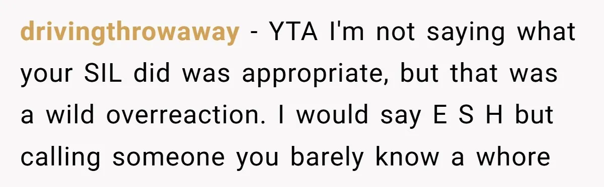 drivingthrowaway − YTA I'm not saying what your SIL did was appropriate, but that was a wild overreaction. I would say E S H but calling someone you barely know...