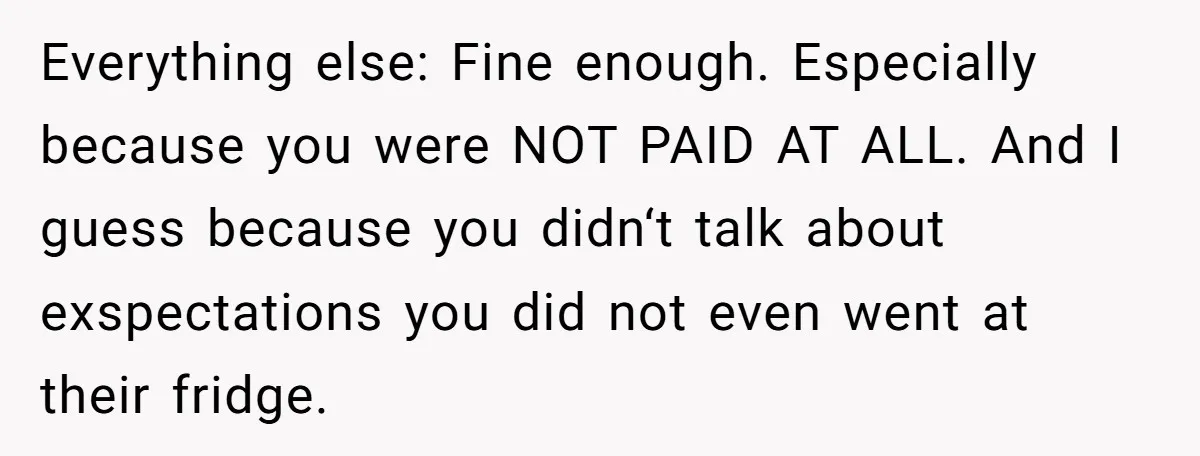 Everything else: Fine enough. Especially because you were NOT PAID AT ALL. And I guess because you didn‘t talk about exspectations you did not even went at their fridge.