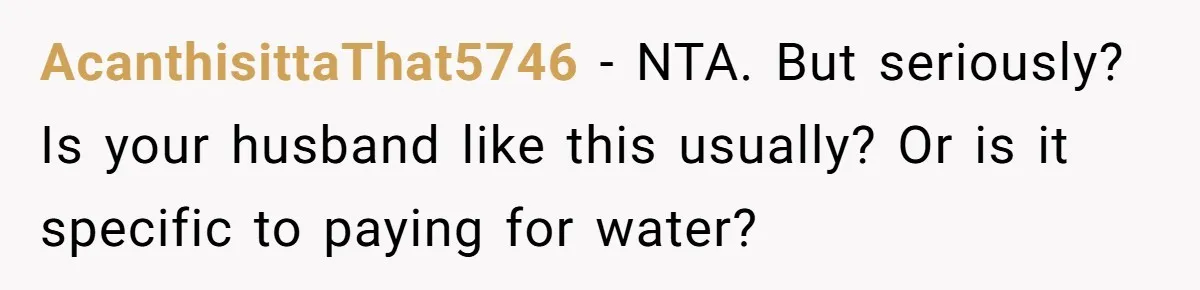 AcanthisittaThat5746 − NTA. But seriously? Is your husband like this usually? Or is it specific to paying for water?