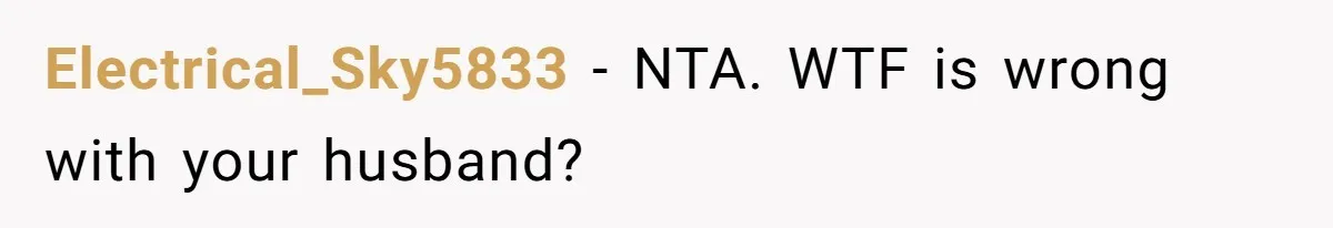 Electrical_Sky5833 − NTA. WTF is wrong with your husband?